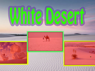 White Desert Places